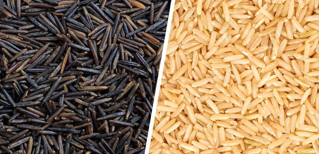 grains of organic wild rice and brown rice side by side