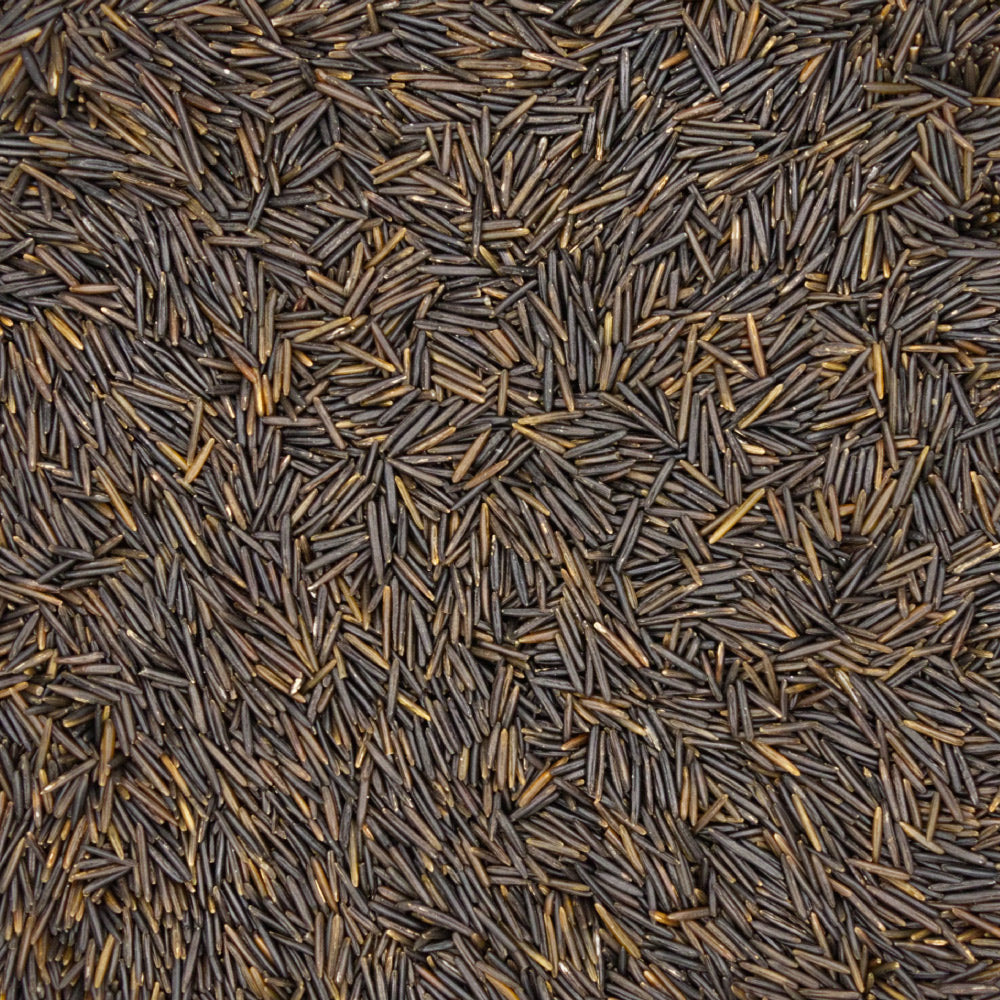 organic and nongmo wild rice viewed up close to show texture